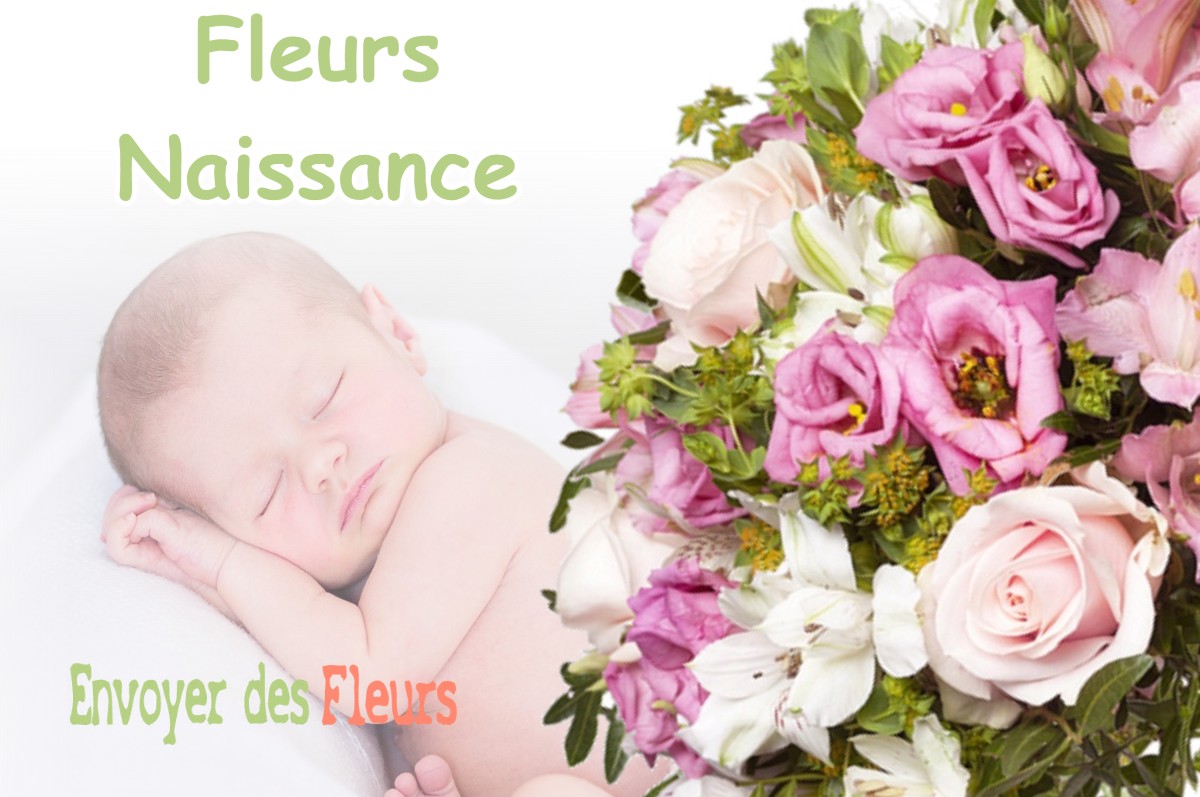 lIVRAISON FLEURS NAISSANCE à SEYRESSE